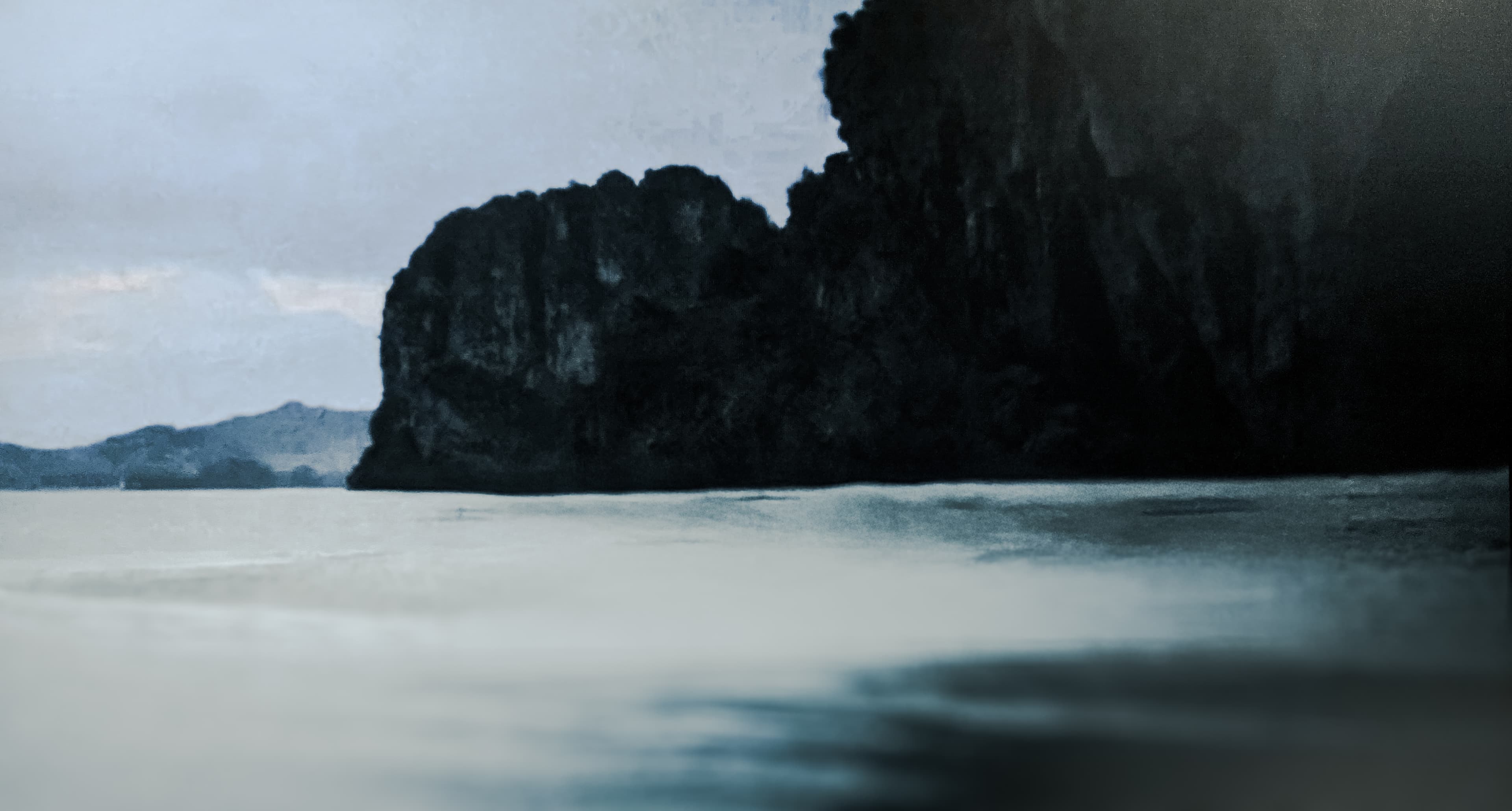 Foggy forest atmosphere